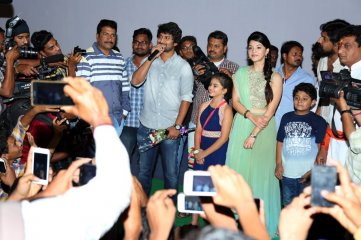Krishna Gadi Veera Prema Gaadha Movie Success Tour